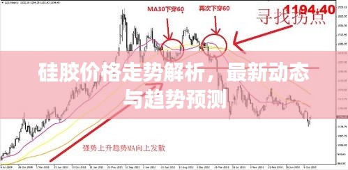 硅胶价格走势解析，最新动态与趋势预测