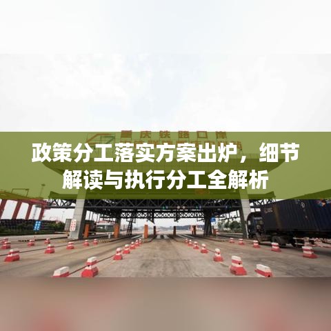 政策分工落实方案出炉，细节解读与执行分工全解析
