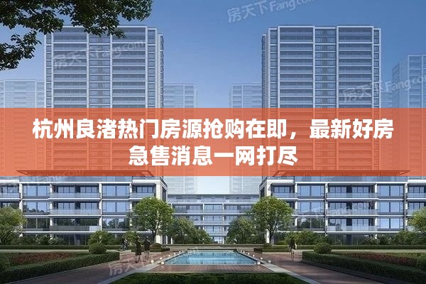 杭州良渚热门房源抢购在即，最新好房急售消息一网打尽