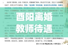 酉阳离婚教师待遇政策深度解读，最新政策解析与待遇揭秘
