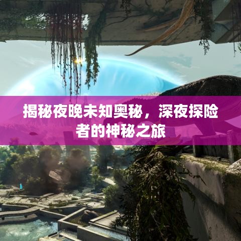 揭秘夜晚未知奥秘，深夜探险者的神秘之旅