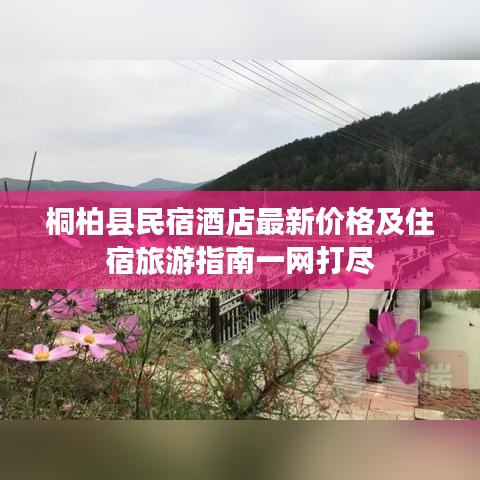 桐柏县民宿酒店最新价格及住宿旅游指南一网打尽