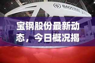 宝钢股份最新动态，今日概况揭秘