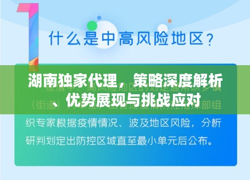 湖南独家代理，策略深度解析、优势展现与挑战应对