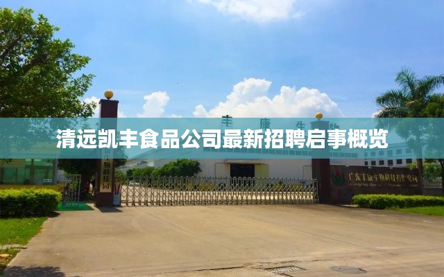 清远凯丰食品公司最新招聘启事概览