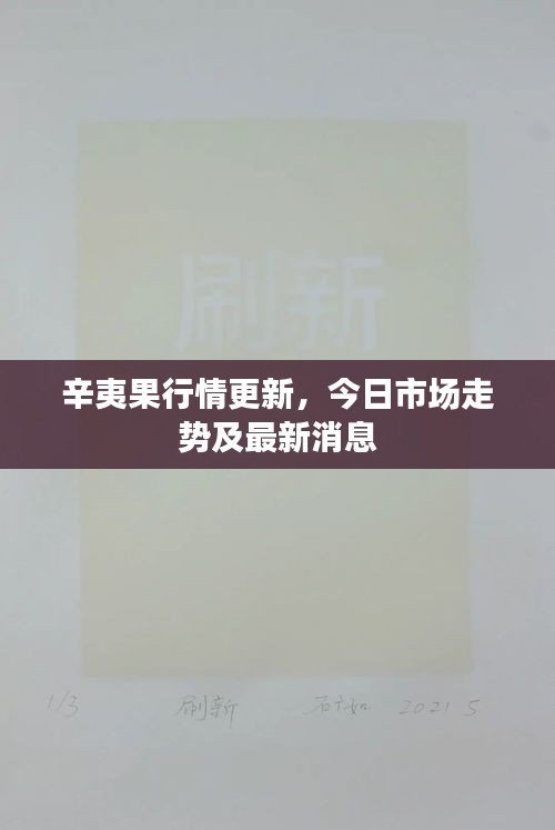 辛夷果行情更新，今日市场走势及最新消息