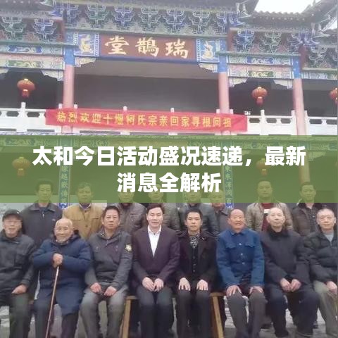 太和今日活动盛况速递，最新消息全解析