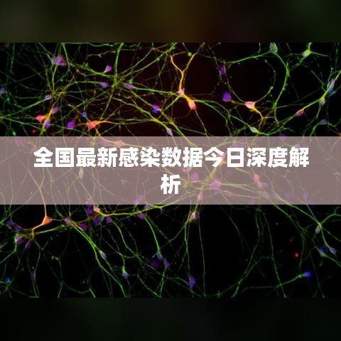全国最新感染数据今日深度解析