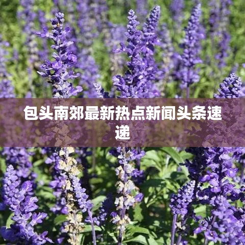 包头南郊最新热点新闻头条速递