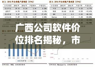 广西公司软件价位排名揭秘，市场分析深度解读