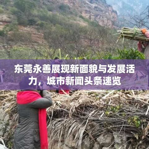 东莞永善展现新面貌与发展活力，城市新闻头条速览