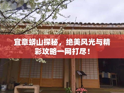 宜章蟒山探秘，绝美风光与精彩攻略一网打尽！