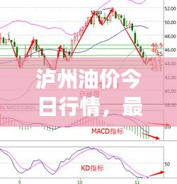 泸州油价今日行情，最新油价表及市场走势分析