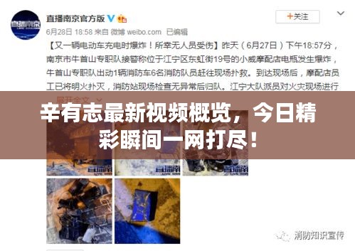 辛有志最新视频概览，今日精彩瞬间一网打尽！