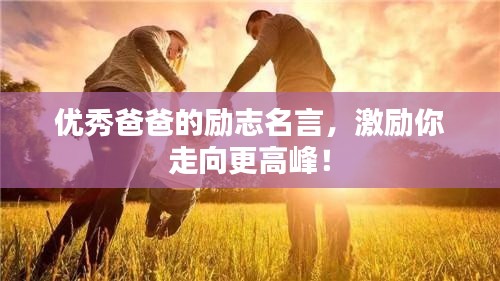 德才兼备 第2页
