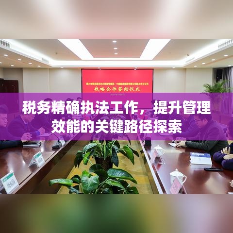 税务精确执法工作，提升管理效能的关键路径探索