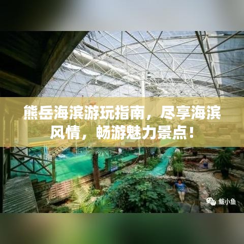 熊岳海滨游玩指南，尽享海滨风情，畅游魅力景点！
