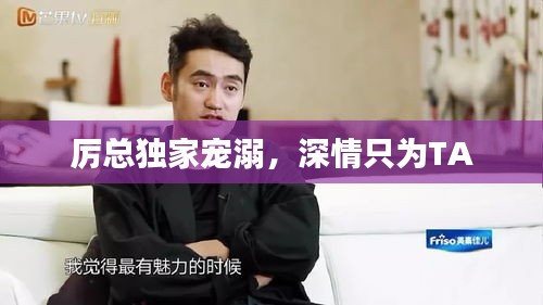 厉总独家宠溺，深情只为TA