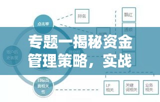 专题一揭秘资金管理策略，实战技巧与优化方法