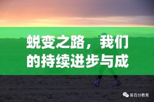 蜕变之路，我们的持续进步与成长