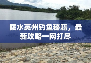 陵水英州钓鱼秘籍，最新攻略一网打尽
