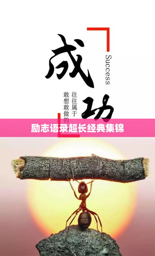 励志语录超长经典集锦