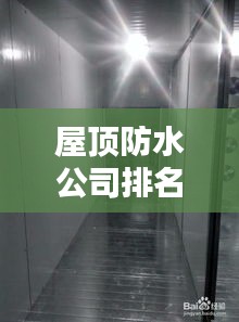 屋顶防水公司排名揭秘，为何选择优质公司至关重要？