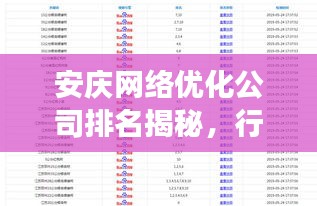 安庆网络优化公司排名揭秘，行业洞察与选择指南