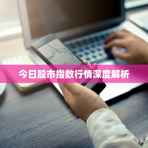今日股市指数行情深度解析