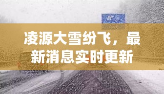 凌源大雪纷飞，最新消息实时更新
