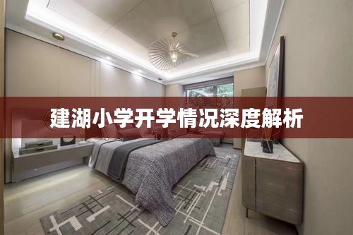 建湖小学开学情况深度解析