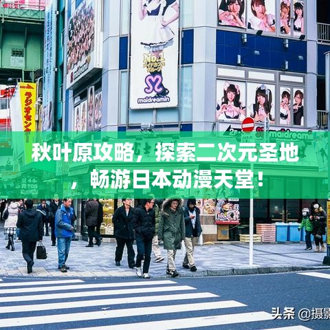 秋叶原攻略，探索二次元圣地，畅游日本动漫天堂！