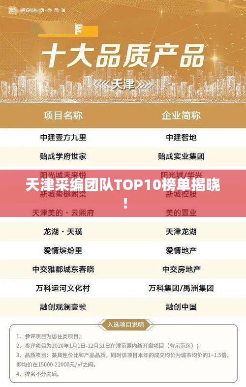 天津采编团队TOP10榜单揭晓！