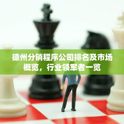 德州分销程序公司排名及市场概览，行业领军者一览