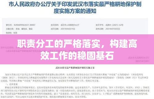 职责分工的严格落实，构建高效工作的稳固基石