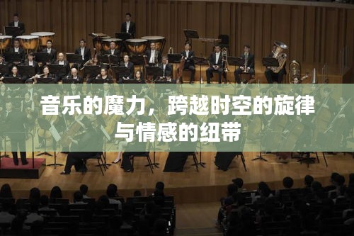 对答如流 第2页