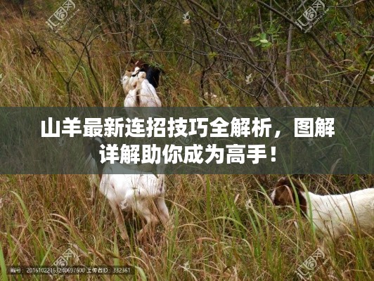 山羊最新连招技巧全解析，图解详解助你成为高手！