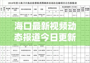 海口最新视频动态报道今日更新消息