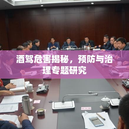 酒驾危害揭秘，预防与治理专题研究