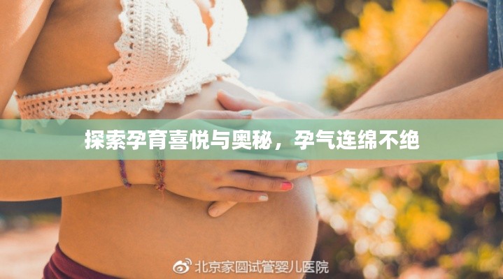 探索孕育喜悦与奥秘，孕气连绵不绝