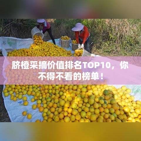 脐橙采摘价值排名TOP10，你不得不看的榜单！