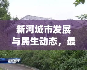 新河城市发展与民生动态，最新头条新闻速递