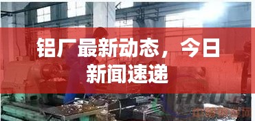 铝厂最新动态，今日新闻速递