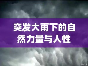 突发大雨下的自然力量与人性情感交织视频展现大自然与人类情感的交融瞬间