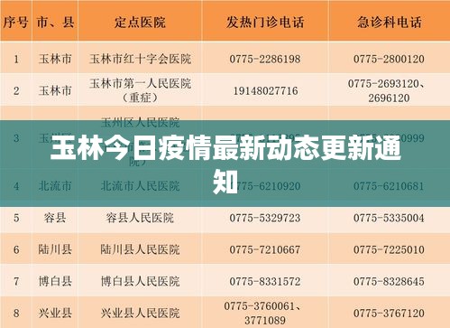 玉林今日疫情最新动态更新通知