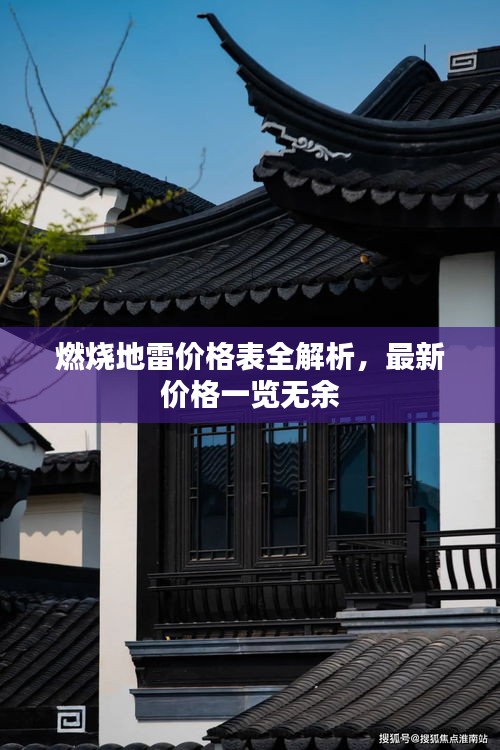 燃烧地雷价格表全解析，最新价格一览无余