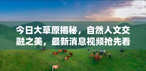 今日大草原揭秘，自然人文交融之美，最新消息视频抢先看