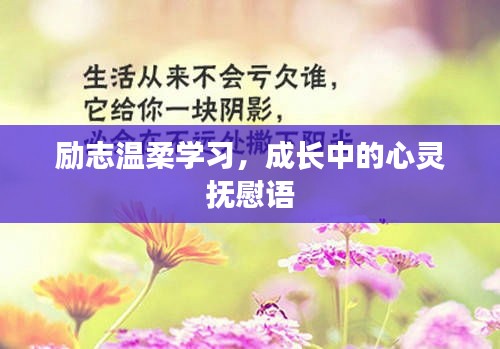 励志温柔学习，成长中的心灵抚慰语