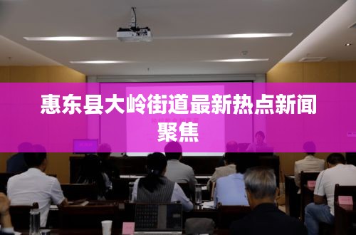 惠东县大岭街道最新热点新闻聚焦
