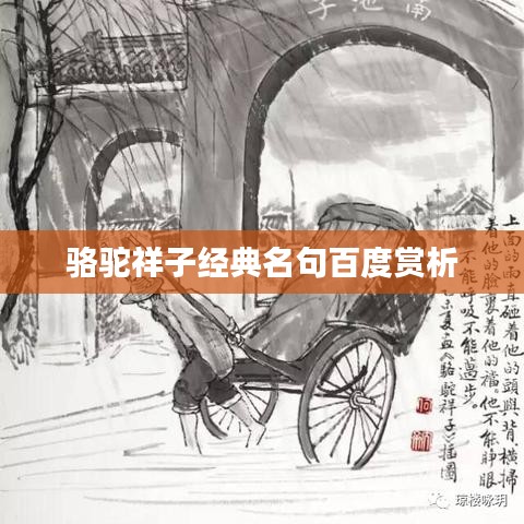 骆驼祥子经典名句百度赏析